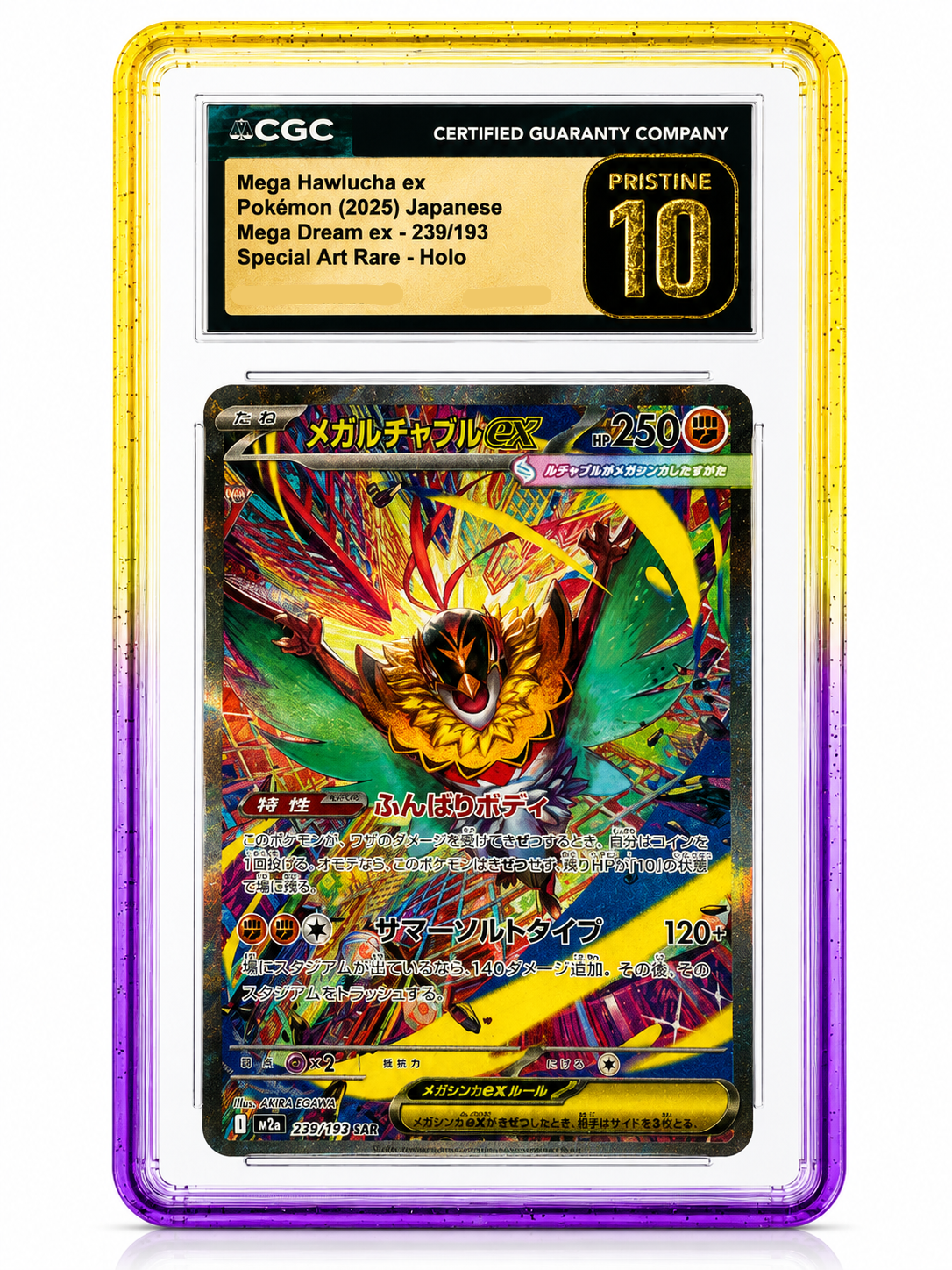 Collct.Pro CGC Guards with Back Panel