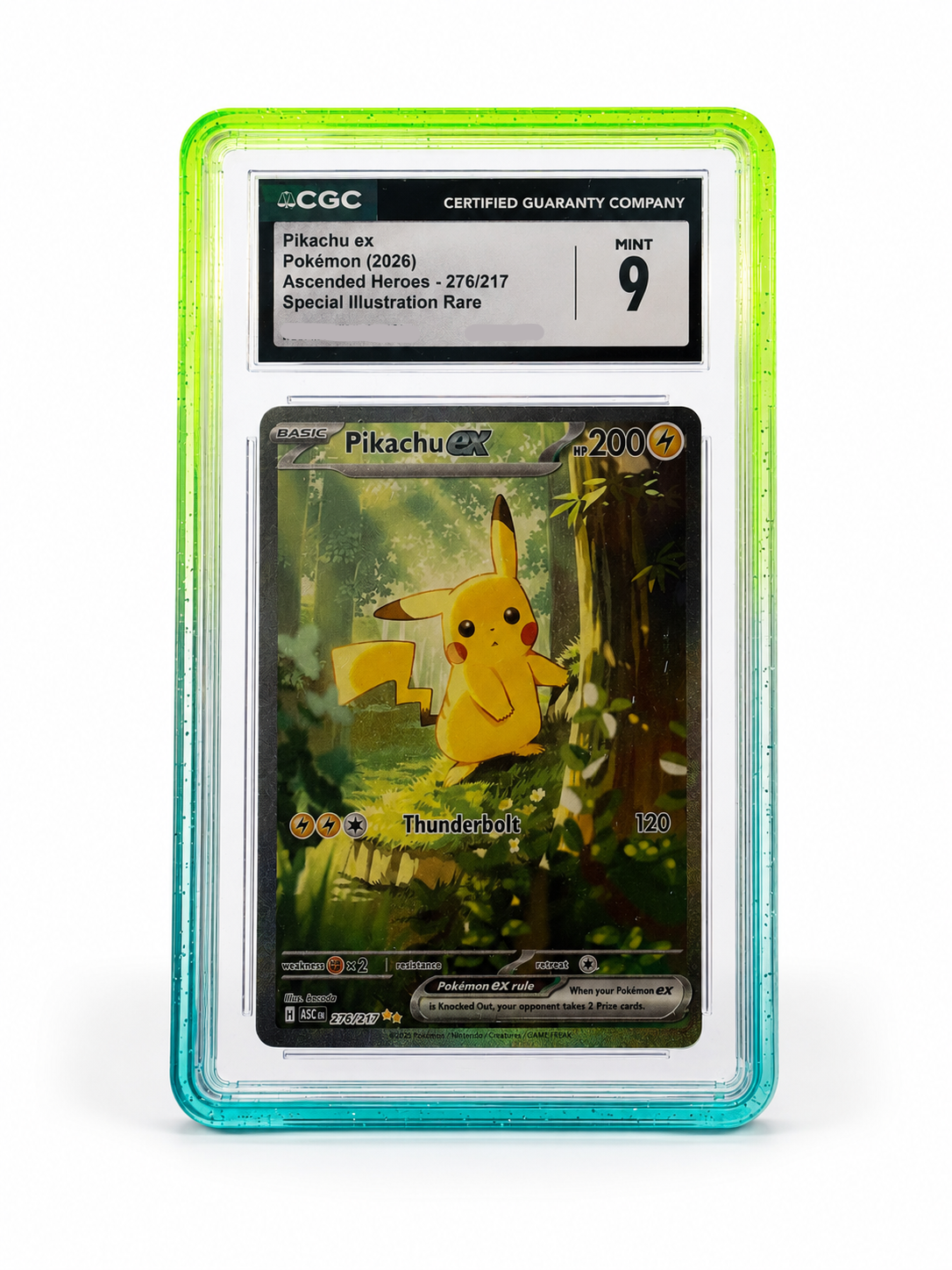 Collct.Pro CGC Guards with Back Panel