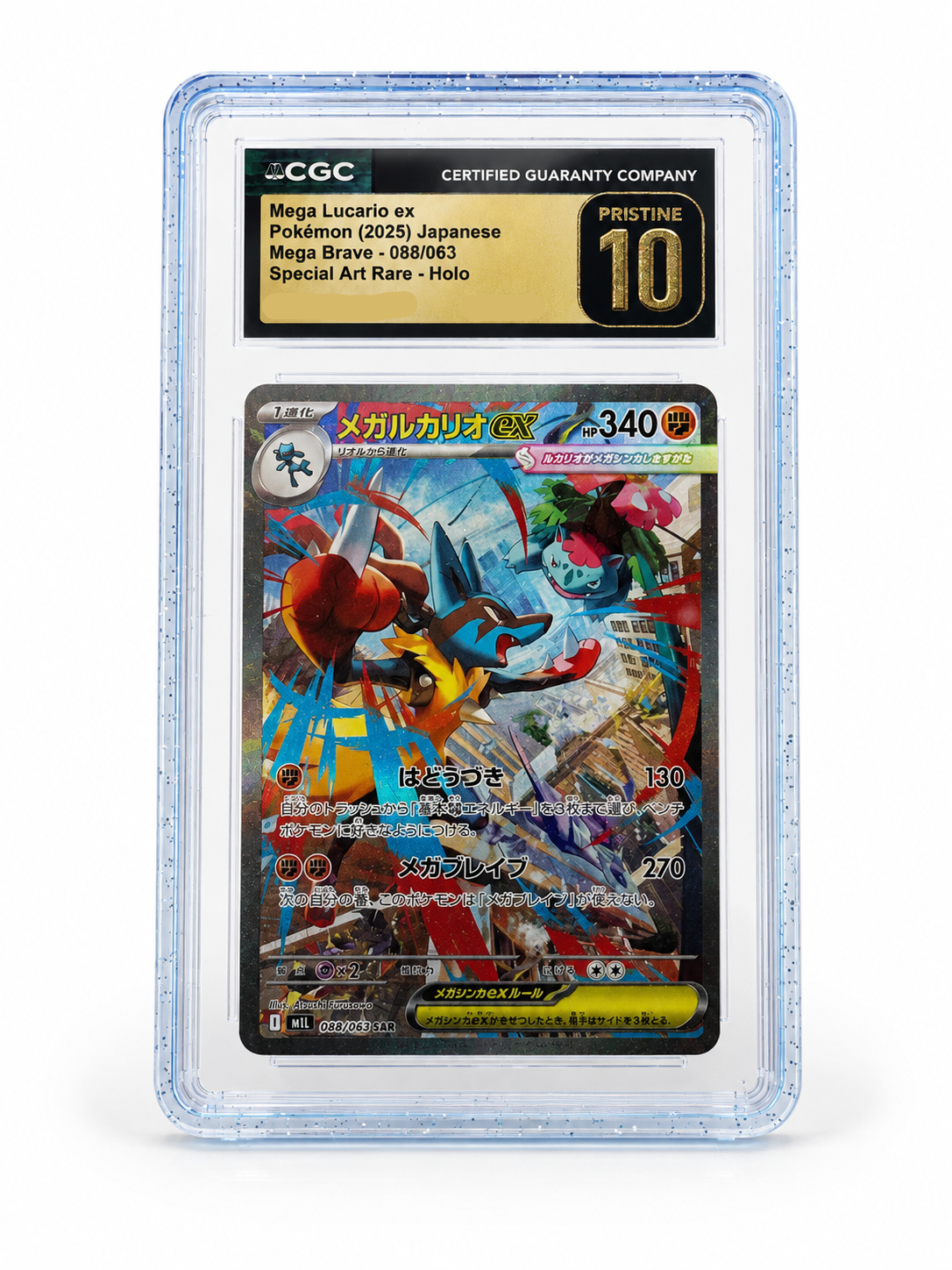 Collct.Pro CGC Guards with Back Panel