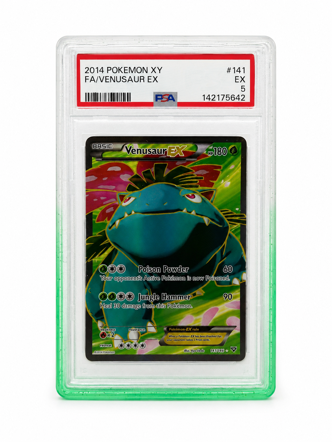 Collct.Pro PSA Guards with Back Panel