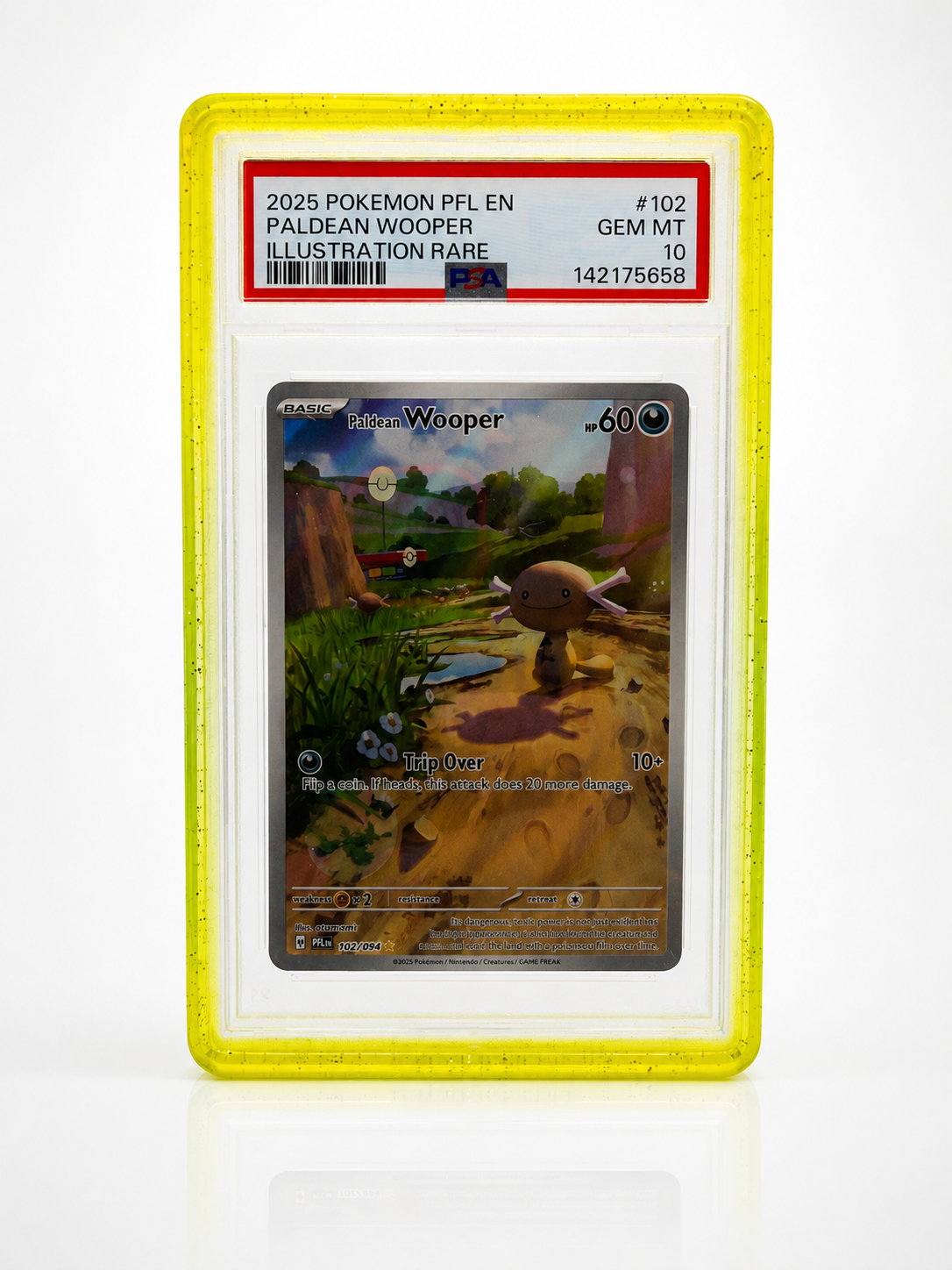 Collct.Pro PSA Guards with Back Panel