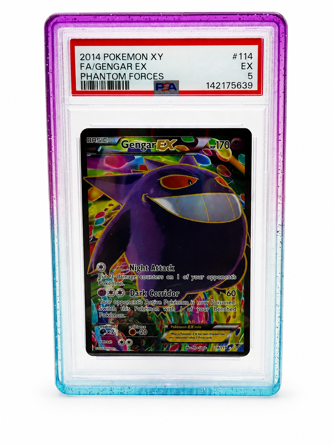 Collct.Pro PSA Guards with Back Panel
